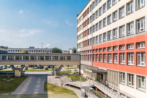 开云体育官方网入口-中国篮球青训教练员专业能力提升及培训体系建设，篮球青训师资格证好考么