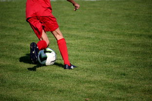 KAIYUN 中国大陆-篮球运动员心理韧性培养与干预体系，篮球运动员的心理选材